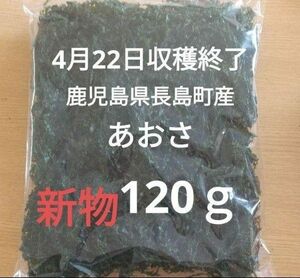 4月22日収穫終了 鹿児島県長島町産 あおさ あおさのり 乾燥あおさ