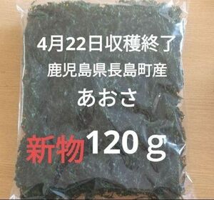 4月22日収穫終了 鹿児島県長島町産 あおさ あおさのり 乾燥あおさ