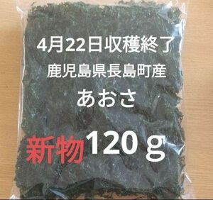 4月22日収穫終了 鹿児島県長島町産 あおさ あおさのり 乾燥あおさ