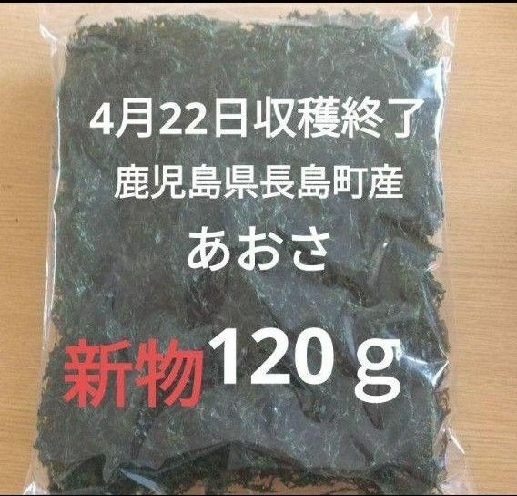 4月22日収穫終了 鹿児島県長島町産 あおさ あおさのり 乾燥あおさ