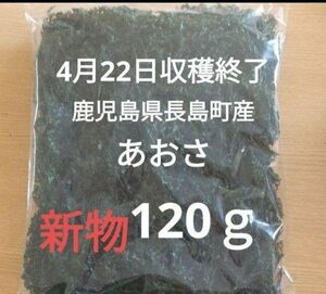 4月22日収穫終了 鹿児島県長島町産 あおさ あおさのり 乾燥あおさ