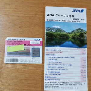 ANA 株主優待券