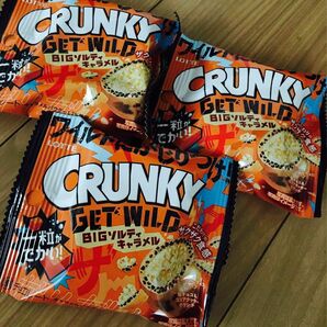 ひとくちスイーツ ロッテ GET WILD クランキー ポップジョイ BIG ソルティーキャラメル CRUNKY