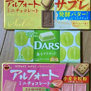 チョコレート 3種 アルフォートミニチョコレート ストロベリー 発酵バターサブレ 森永 DARS 白いダース 香るマスカット