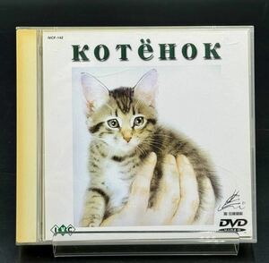 こねこ　DVD [動作未確認] KOTEHOK アンドレイ・クズネツォフ　イワン・ポポフ監督 ねこ 子猫
