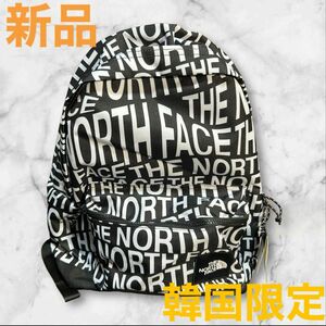 ノースフェイス NORTHFACE リュック バックパック 新品 韓国限定　日本未発売