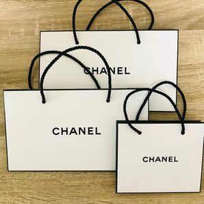 【美品】CHANEL 正規店ショップバック　3枚　