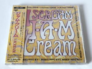 未開封 見本盤/ ジャム・クリーム J.A.M.Cream アイ スクリーム I SCREAM