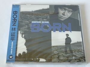 未使用 見本盤/ 林延年 BORN ランディ神奈延年 