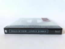 未使用 見本盤/ FIELD OF VIEW LOVELY JUBBLY 初回封入特典_画像2