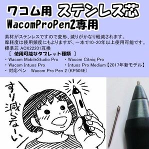 ワコム用 ステンレス芯 WacomProPen2用【ゆうパケット発送】