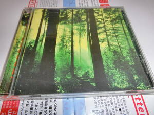 THY SERPENT/FORESTS OF WITCHRY 輸入盤CD　盤面良好