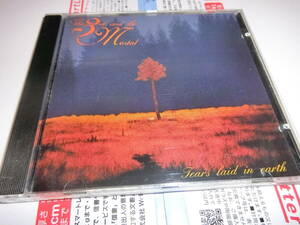 The 3RD AND THE MORTAL/TEARS LAID IN ERATH 輸入盤CD　盤面良好