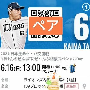 西武ライオンズ VS　横浜DeNAベイスターズ　　6/16 日曜日　