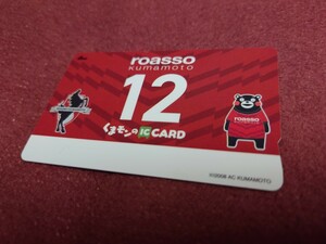  bear mon. IC card 2023 lower so Kumamoto memory card depot jito only ROASSO Kumamoto SuicaSUGOCAICOCAnimoca etc. traffic series IC card .. use un- possible 