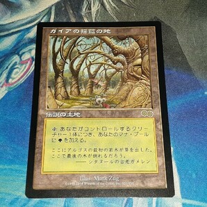 MTG/USG/日本語/R/ガイアの揺籃の地/Gaea's Cradle １枚の画像1