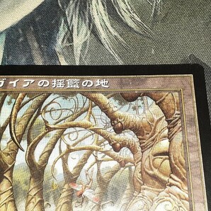 MTG/USG/日本語/R/ガイアの揺籃の地/Gaea's Cradle １枚の画像2