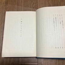 聖書の教とキリスト教 渋谷治/著 聲社 カトリック 初版_画像8