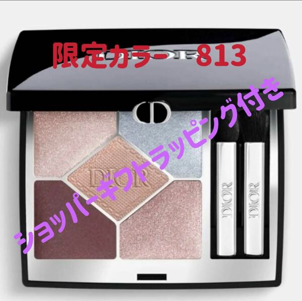 本日中発送　未使用　DIOR　ディオール　ショウ 　サンク クルール　 813