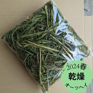 2024年春 千葉県産 乾燥 オーツヘイ 100g