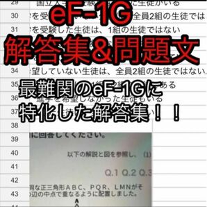 eF-1G 解答集&問題文一例(Webテスト)