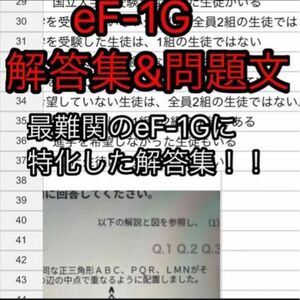 eF-1G 解答集&問題文一例(Webテスト)