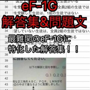 eF-1G 解答集&問題文一例(Webテスト)