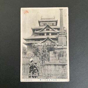  war front picture postcard Matsue thousand bird castle heaven .. old photograph thin address paper none retro antique collection 