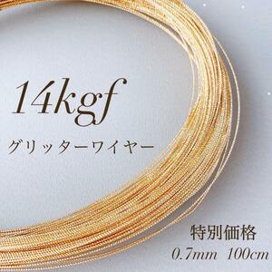 高品質　14kgf スパークルグリッターワイヤーハード 0.7mm 1m