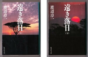 遠き落日 〈上・下〉 （渡辺淳一/集英社文庫）