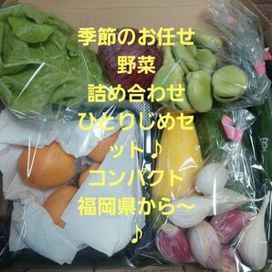 野菜詰め合わせコンパクトセット☆