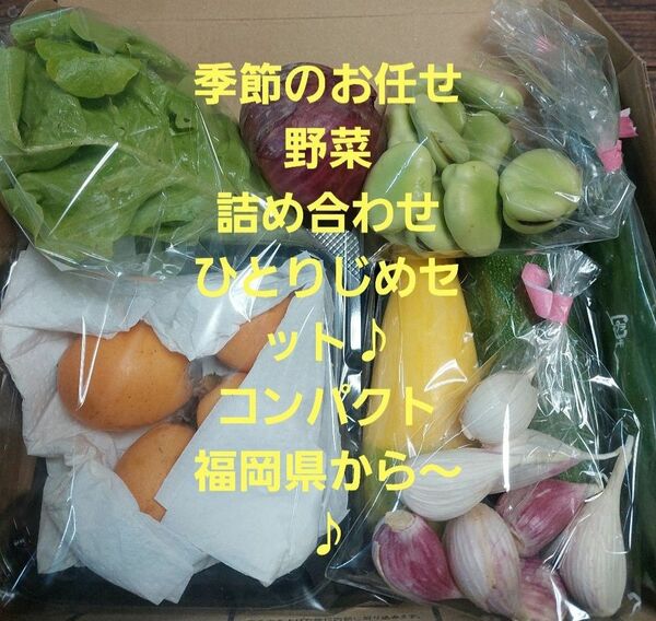 野菜詰め合わせコンパクトセット☆