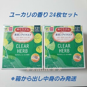 めぐりズム 24枚セット ユーカリの香り 蒸気でホットアイマスク めぐリズム 花王 数量限定品 リラックス