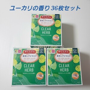 めぐりズム 36枚セット ユーカリの香り 蒸気でホットアイマスク めぐリズム 花王 数量限定