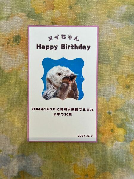 鳥羽水族館　メイちゃん　誕生日　記念カード