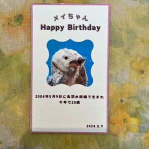 鳥羽水族館 メイちゃん 誕生日 記念カード