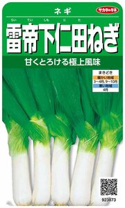 送料無料　雷帝下仁田ネギ　１００粒