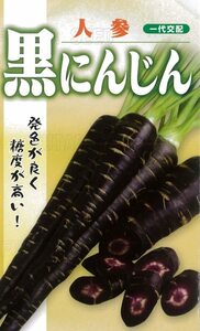 送料無料　黒にんじん　コート種子　５０粒