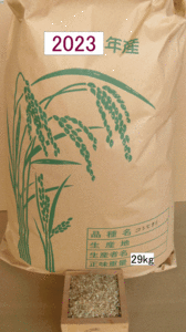 農薬未使用 コシヒカリ29kg No8 玄米