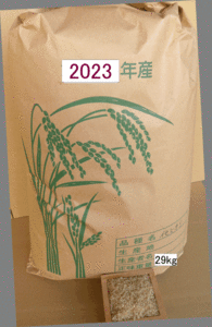 農薬未使用 イセヒカリ29k 玄米　No16