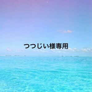 つつじい様専用 【天然石】【カービング】【握り石】【虹入り】アイリススモーキーシトリン ぷっくりハート アクアマリン台座付き