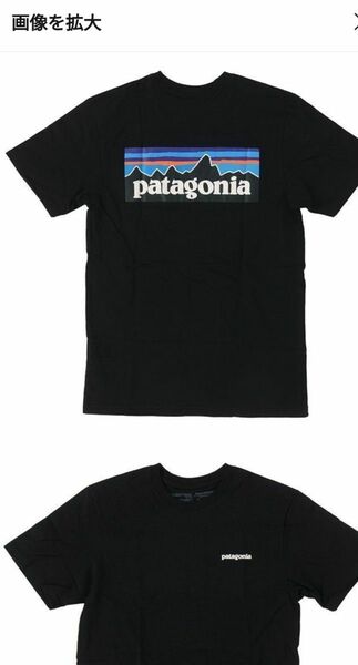 patagonia Tシャツ ブラック