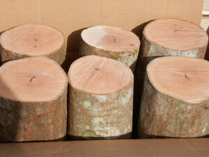 Mk-010-1 forest. carefuly selected {.. tree } easily firewood tenth . tree ( courier service exclusive use )