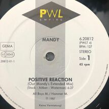 12’ Mandy-Positive Reaction _画像2