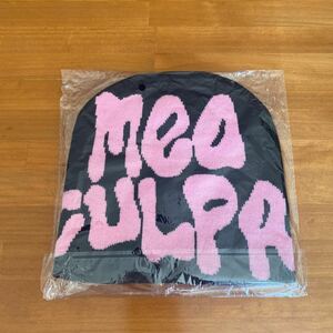 MeaCulpa Beanie - Mens,Women’s (PurpleBlack)