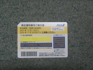 全日空 ANA 株主優待券 1枚 有効期限2024年11月30日【コード通知のみで発送なし】②