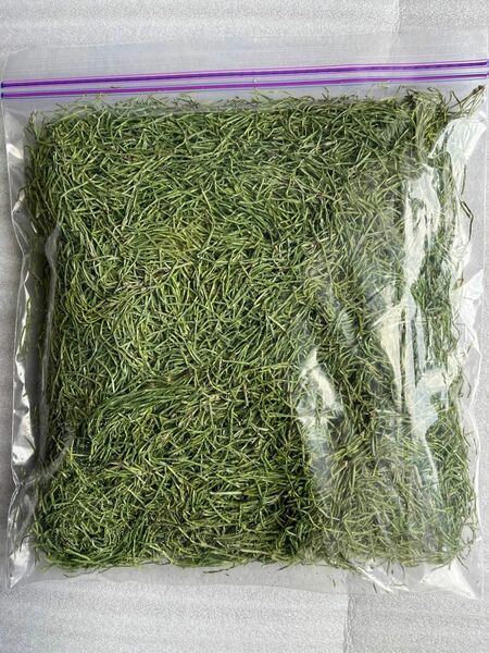 無農薬天然スギナ茶　60g