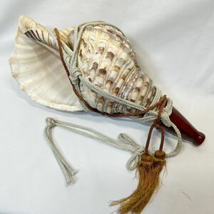 法螺貝　和楽器　ホラガイ　密教法具　ほら貝　音出しOK アンティーク　重さ0.8Kg 長さ37cmくらい　縁起物