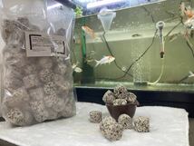 ろ材濾過材フィルター水質浄化高品質納豆菌パワーリング1kg当日発送_画像1