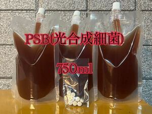 PSB(光合成細菌) 750ml 培養酵母10錠付【送料無料】8